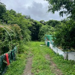 久留米市上津町　売地　43坪 画像8